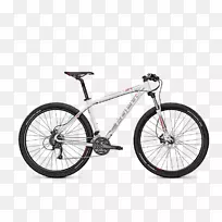 ���г��������г��������г�����ɽ�س�Ⱥ-���г�-������