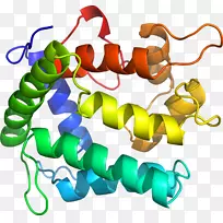 人体珠宝系列剪贴画.珠宝-空若网 人体珠宝系列剪贴画.珠宝-空若网