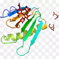 线点生物剪贴画线-空若网 线点生物剪贴画线-空若网