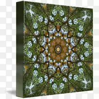 窗口对称树-窗口-空若网 窗口对称树-窗口-空若网