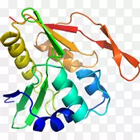 人体珠宝线有机体剪贴画线-空若网 人体珠宝线有机体剪贴画线-空若网