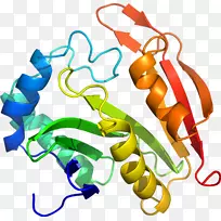 服装配饰线有机时尚剪贴画线-空若网 服装配饰线有机时尚剪贴画线-空若网