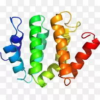 人体珠宝系列有机体剪贴画-珠宝-空若网 人体珠宝系列有机体剪贴画-珠宝-空若网
