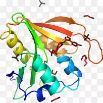 �ߵ������-��-������