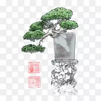 �辰������-������