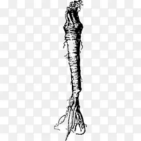 ���̸�����������-�߲�-������