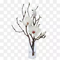 玉兰人工花卉设计-白花花卉装饰软件安装-空若网 玉兰人工花卉设计-白花花卉装饰软件安装-空若网