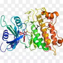 车身珠宝厂阀杆线夹艺术.珠宝-空若网 车身珠宝厂阀杆线夹艺术.珠宝-空若网