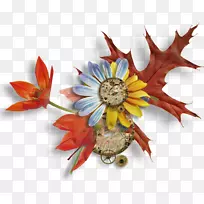 开花植物-鸽子12 0 1-空若网 开花植物-鸽子12 0 1-空若网