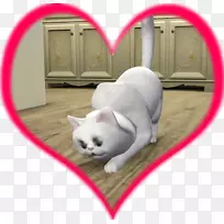 胡须,小狗,猫鼻子-小狗-空若网 胡须,小狗,猫鼻子-小狗-空若网