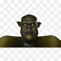 鼻子大猩猩雕塑金属-展示你自己-空若网 鼻子大猩猩雕塑金属-展示你自己-空若网