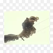 Berhayat摄影.多次曝光-空若网 Berhayat摄影.多次曝光-空若网