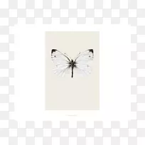 矩形设计-空若网 矩形设计-空若网