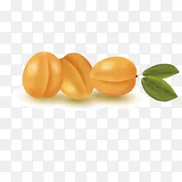 杏-空若网 杏-空若网