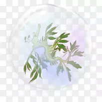 瓷-永恒-空若网 瓷-永恒-空若网