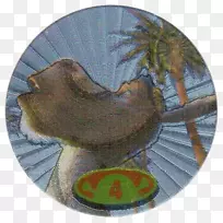 动物史莱克驴-空若网 动物史莱克驴-空若网