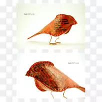 鸟嘴广告.鸽子图片材料-空若网 鸟嘴广告.鸽子图片材料-空若网