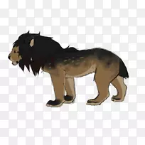 狮子大猫陆生动物皮毛-狮子-空若网 狮子大猫陆生动物皮毛-狮子-空若网