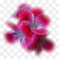 剪贴画-万维网-空若网 剪贴画-万维网-空若网