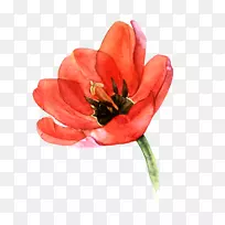 Óô½ðÏãË®²Ê»ÒÕÊõË®²Ê»»¨Óô½ðÏã-¿ÕÈôÍø Óô½ðÏãË®²Ê»ÒÕÊõË®²Ê»»¨Óô½ðÏã-¿ÕÈôÍø