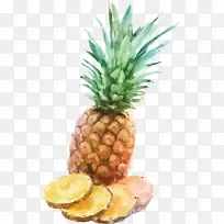 菠萝水彩画Inge S.P.-菠萝插图-空若网 菠萝水彩画Inge S.P.-菠萝插图-空若网