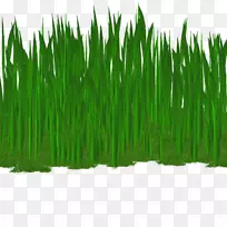 �����Ʒֲ�ﾥ��-������