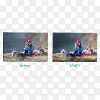 树谷歌游戏树-空若网 树谷歌游戏树-空若网