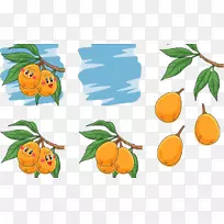 奥格里斯梨插图-可爱的杏-空若网 奥格里斯梨插图-可爱的杏-空若网