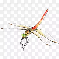 ��������ͼ�����.����-������