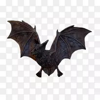 С������Ѫ��-��ʥ����Ѫ��������-������