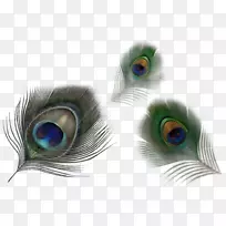 ��ë��ȸ������-��ȸë����������-������