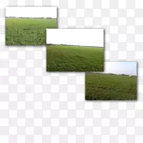 �ؿ��������������-������