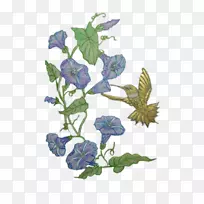 花瓣授粉植物开花植物茎草本植物-空若网 花瓣授粉植物开花植物茎草本植物-空若网