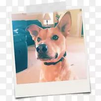 Ȯ�ֿ�������Ȯ�����ޱ���-��ʲ-������