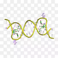 标志黄色-设计-空若网 标志黄色-设计-空若网