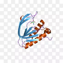桌面壁纸电脑有机体剪贴画-电脑-空若网 桌面壁纸电脑有机体剪贴画-电脑-空若网