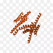 动物剪贴画-ebi-空若网 动物剪贴画-ebi-空若网
