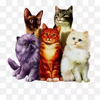 ����è��Сè����-������