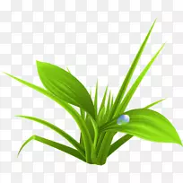 ����-�̲�-������