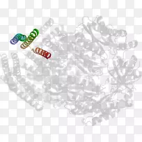 树线字体树-空若网 树线字体树-空若网