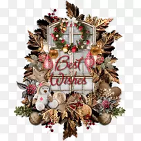 Ê¥µ®½Ú×°ÊÎËÉÊ÷¼ÒÍ¥-Ê¥µ®½Ú-¿ÕÈôÍø Ê¥µ®½Ú×°ÊÎËÉÊ÷¼ÒÍ¥-Ê¥µ®½Ú-¿ÕÈôÍø