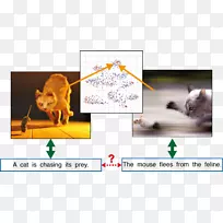 ������Ӿ��������ѧ�˹������о�-������