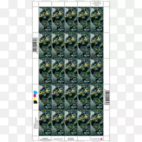 树树-空若网 树树-空若网