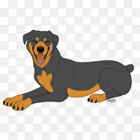 罗威勒小狗培育猫鼻子-小狗-空若网 罗威勒小狗培育猫鼻子-小狗-空若网