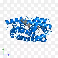 �̱�����-����-������