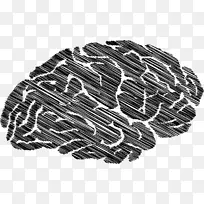 Zazzle打印信息脑内神经网络系统-系统-空若网 Zazzle打印信息脑内神经网络系统-系统-空若网