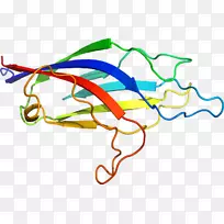 �ߵ������������-������