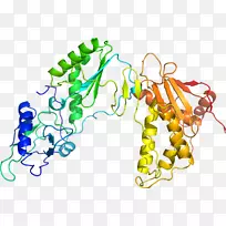 人体珠宝有机体线条剪贴画.珠宝-空若网 人体珠宝有机体线条剪贴画.珠宝-空若网