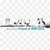 �̱��ɫ�������-������