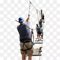 奥兰多树徒步探险公园攀岩吊带团队建设-树-空若网 奥兰多树徒步探险公园攀岩吊带团队建设-树-空若网